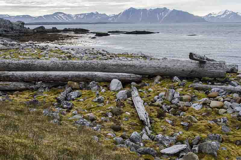 153 - Noruega - islas Svalbard - isla de Spitsbergen - Ingeborgfjellet